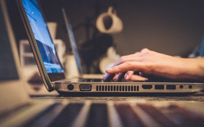 Agence WordPress Opusdomus : tout savoir sur l’agence WordPress Opusdomus